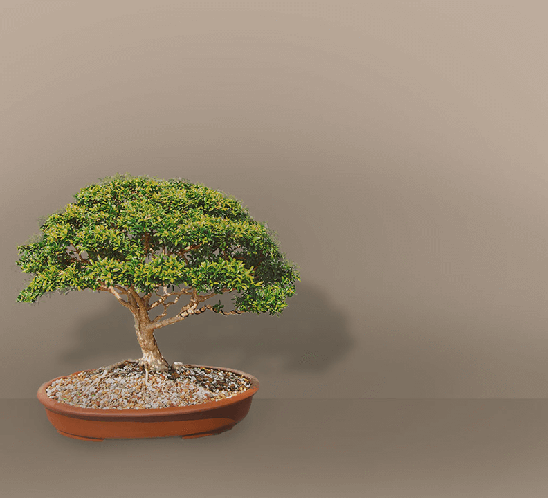 Testimonial from Kris, Stockspot client